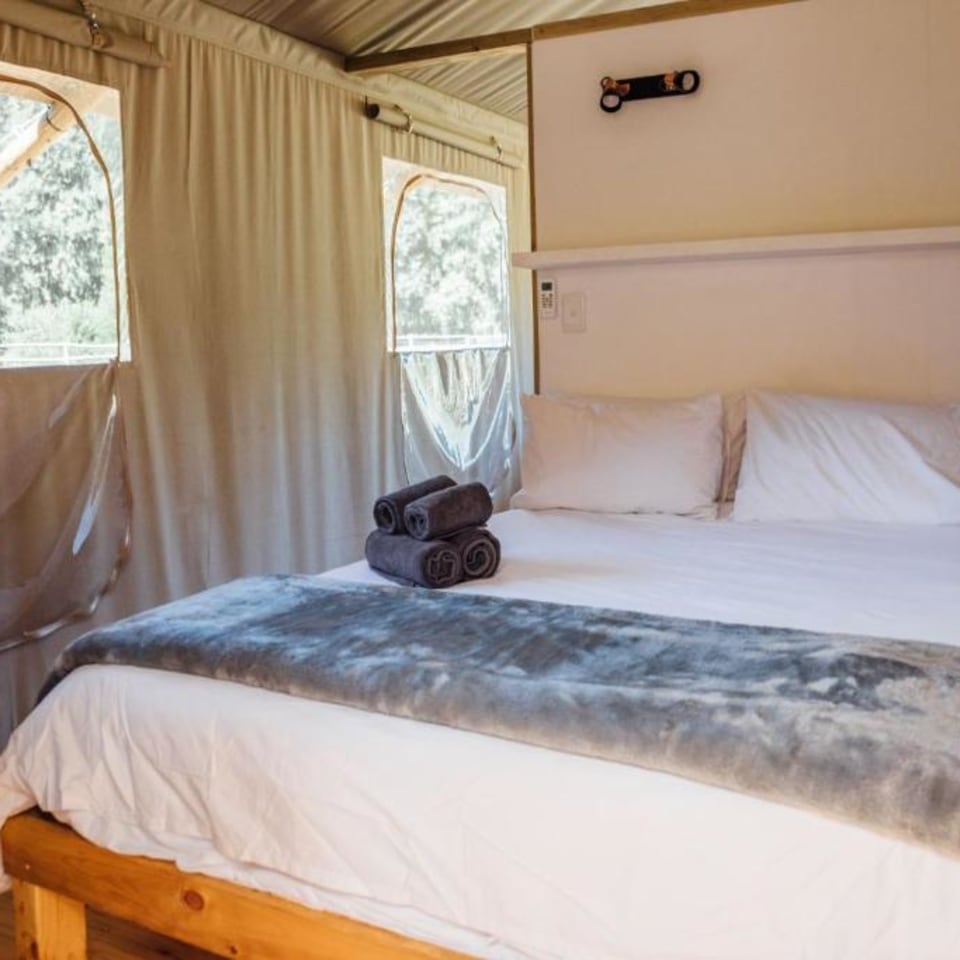 AfriCamps at White Elephant Safaris
